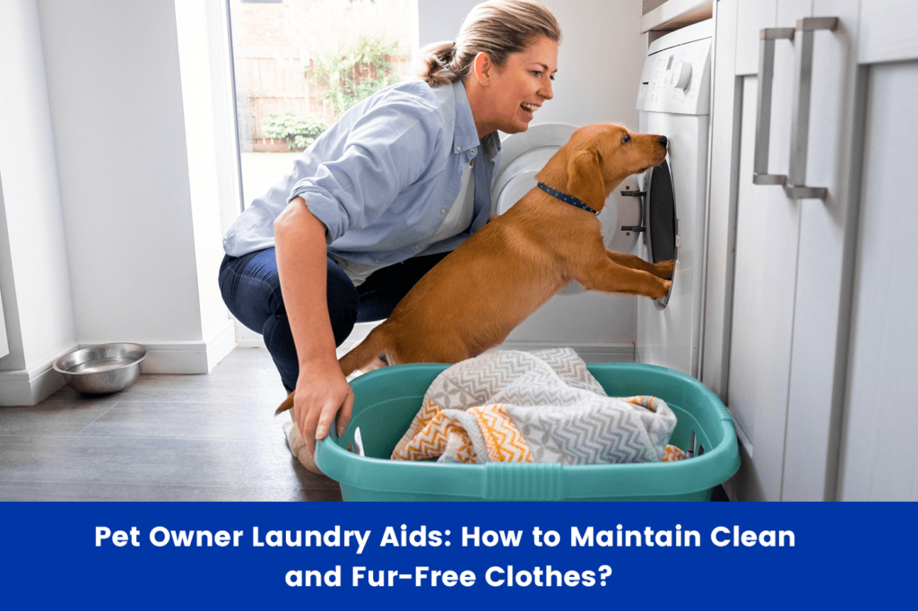Pet Owner Laundry Aids: How to Maintain Clean and Fur-Free Clothes?