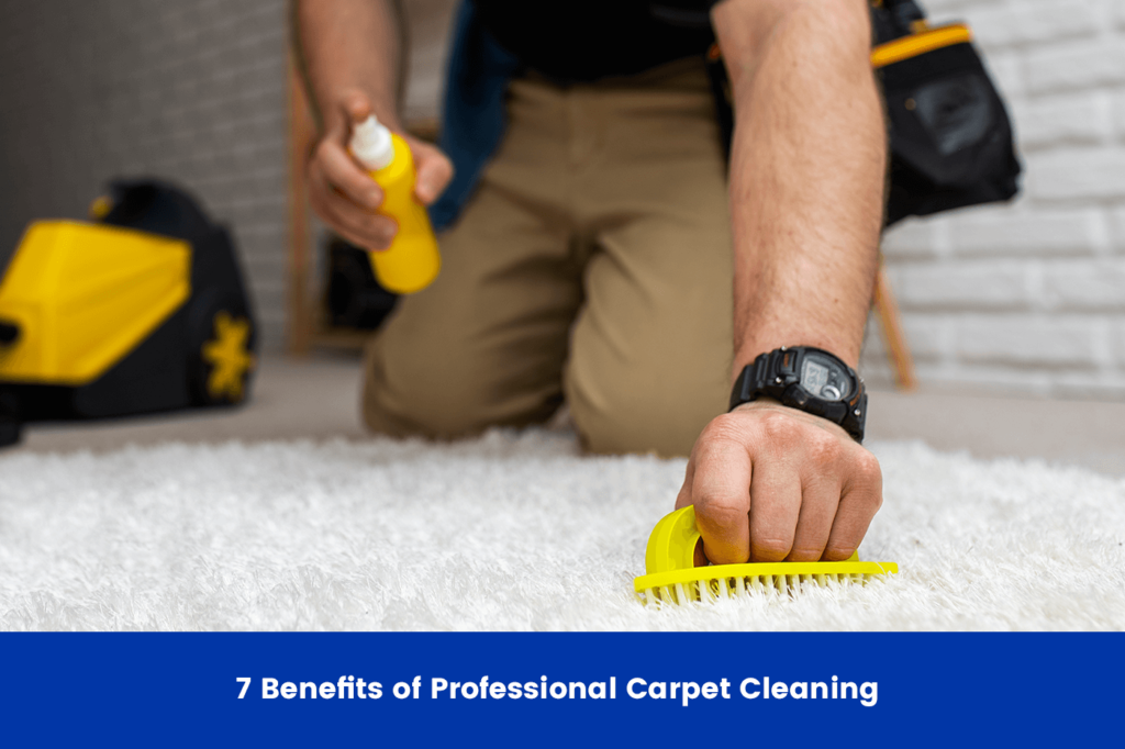 7 Benefits of Professional Carpet Cleaning 